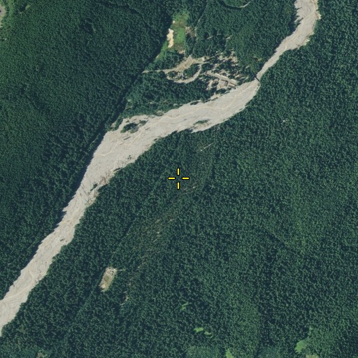 Aerial/Satellite Image of Longmire Campground, WA