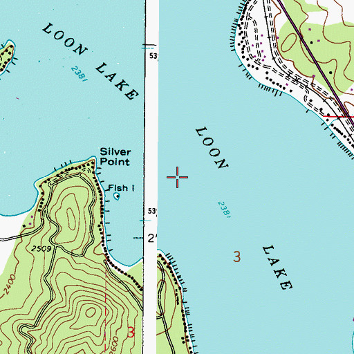 Topographic Map of Loon Lake, WA
