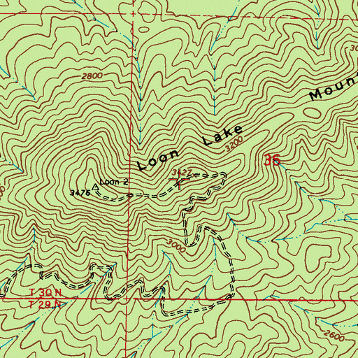 Topographic Map of Loon Lake Mountain, WA