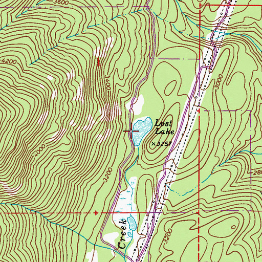 Topographic Map of Lost Lake, WA