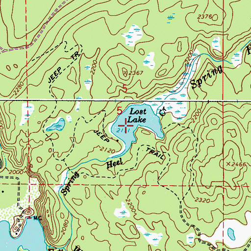 Topographic Map of Lost Lake, WA