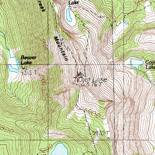 Topographic Map of Lost Lake Lookout, WA