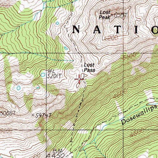 Topographic Map of Lost Pass, WA