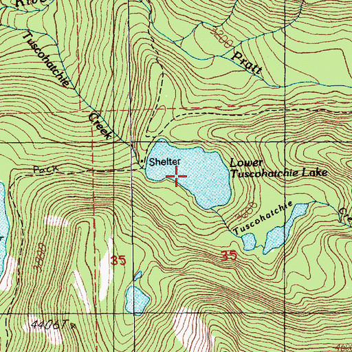 Topographic Map of Lower Tuscohatchie Lake, WA