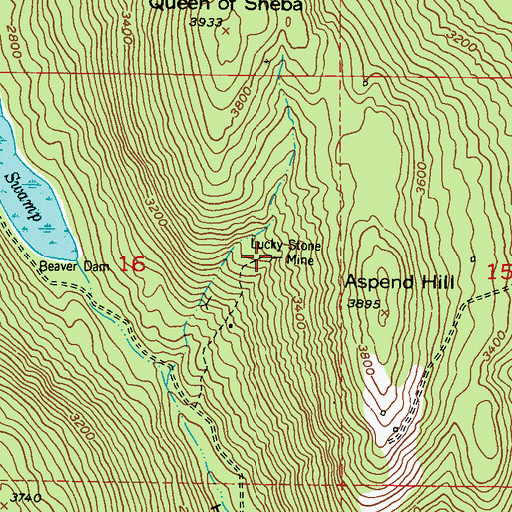 Topographic Map of Lucky Stone Mine, WA