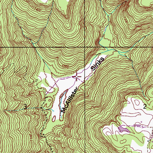 Topographic Map of McAllister Sinks, AL