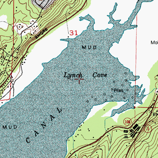 Topographic Map of Lynch Cove, WA
