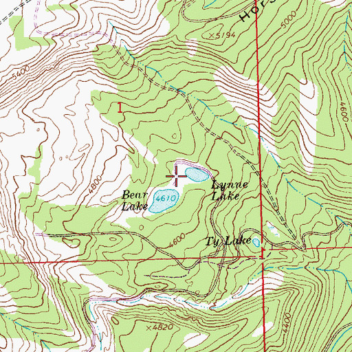 Topographic Map of Lynne Lake, WA