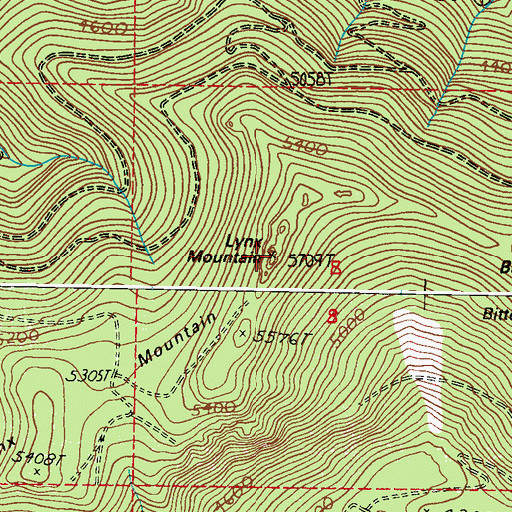 Topographic Map of Lynx Creek Lookout, WA