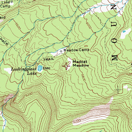 Topographic Map of Madcat Meadow, WA