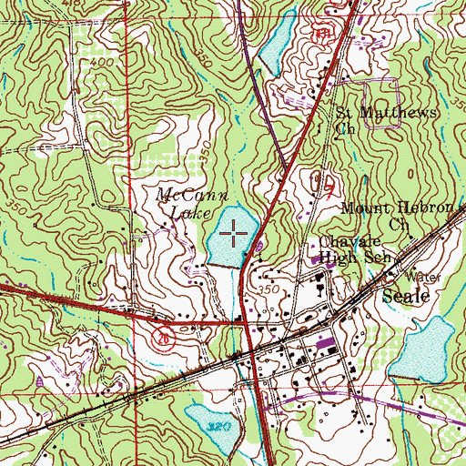Topographic Map of McCann Lake, AL