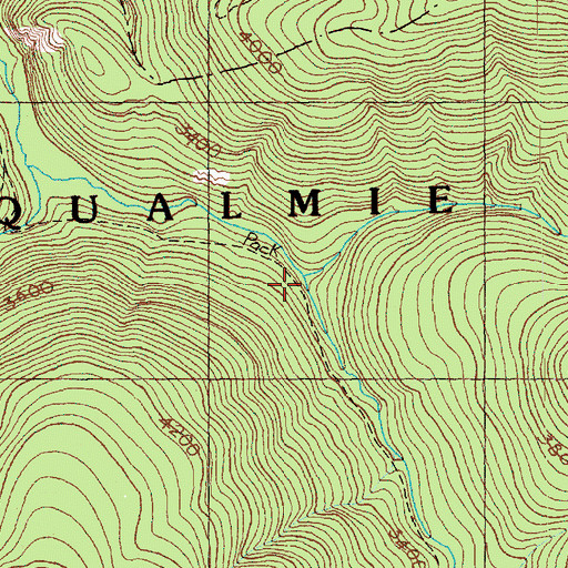 Topographic Map of Maggie Creek, WA