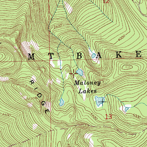 Topographic Map of Maloney Lakes, WA
