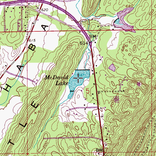 Topographic Map of McDavid Lake, AL