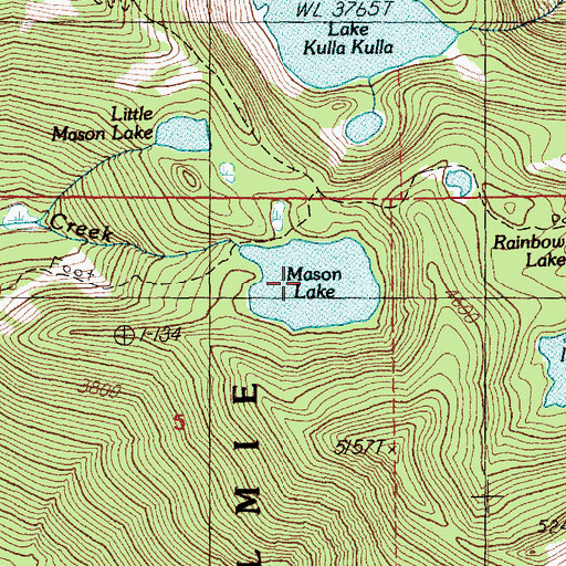 Topographic Map of Mason Lake, WA