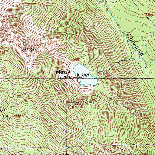 Topographic Map of Massie Lake, WA