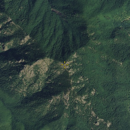 Aerial/Satellite Image of Maynard Peak, WA