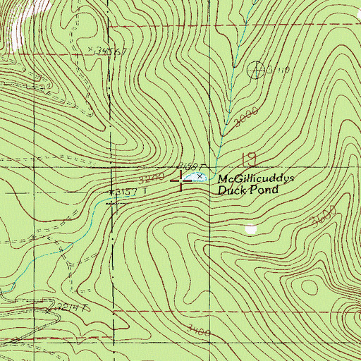 Topographic Map of McGillicuddys Duck Pond, WA