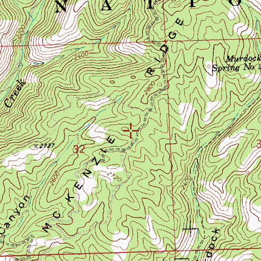 Topographic Map of McKenzie Ridge, WA