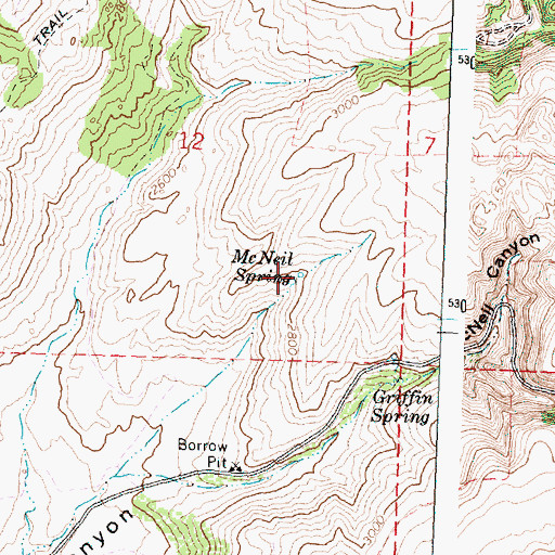 Topographic Map of McNeil Spring, WA