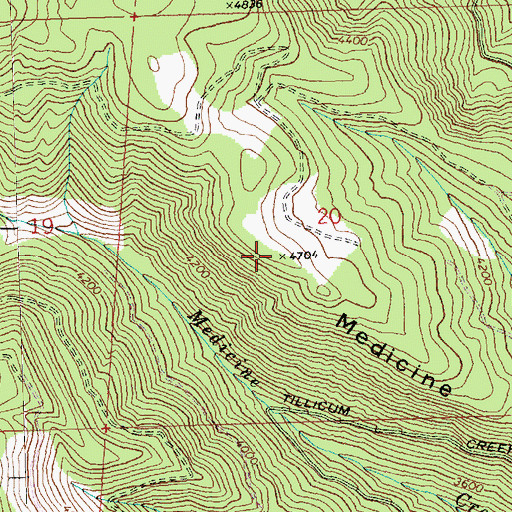 Topographic Map of Medicine Ridge, WA