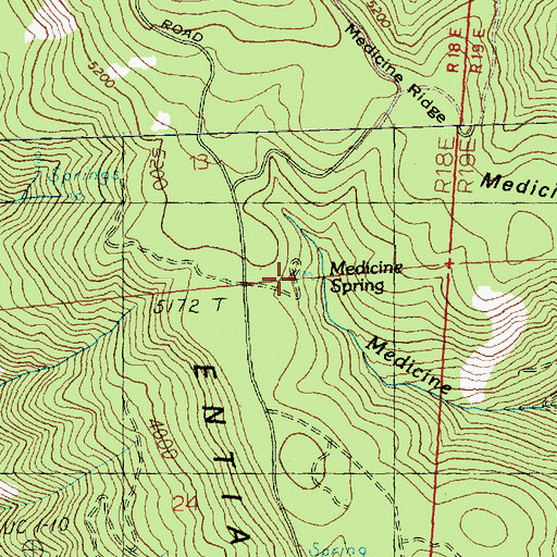 Topographic Map of Medicine Spring, WA