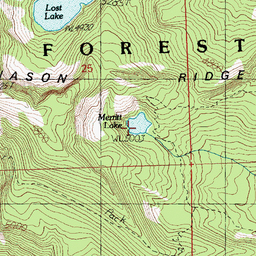 Topographic Map of Merritt Lake, WA