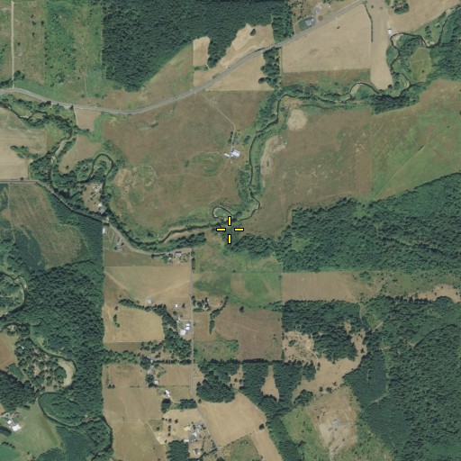 Aerial/Satellite Image of Middle Fork Newaukum River, WA