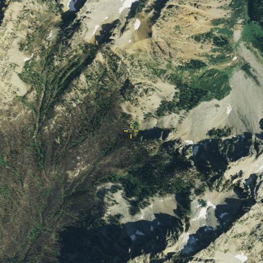 Aerial/Satellite Image of Milham Pass, WA