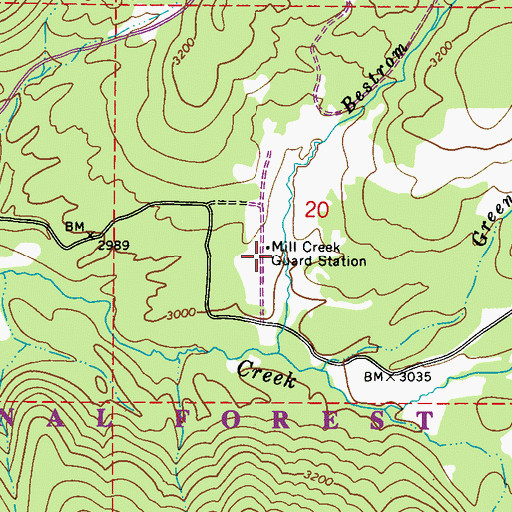 Topographic Map of Mill Creek Guard Station, WA