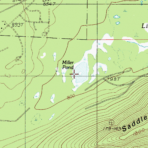 Topographic Map of Miller Pond, WA