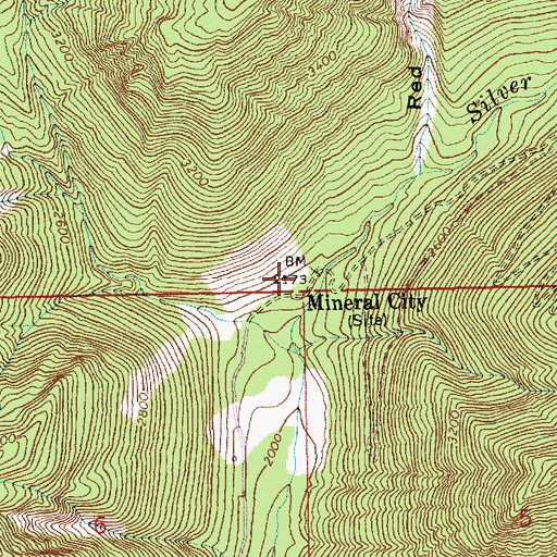 Topographic Map of Mineral City, WA