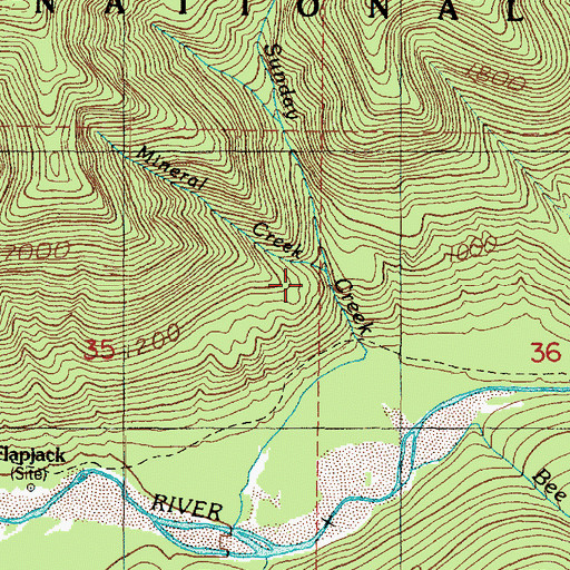 Topographic Map of Mineral Creek, WA