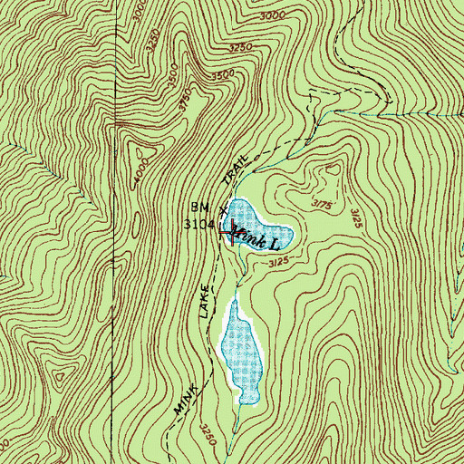 Topographic Map of Mink Lake, WA