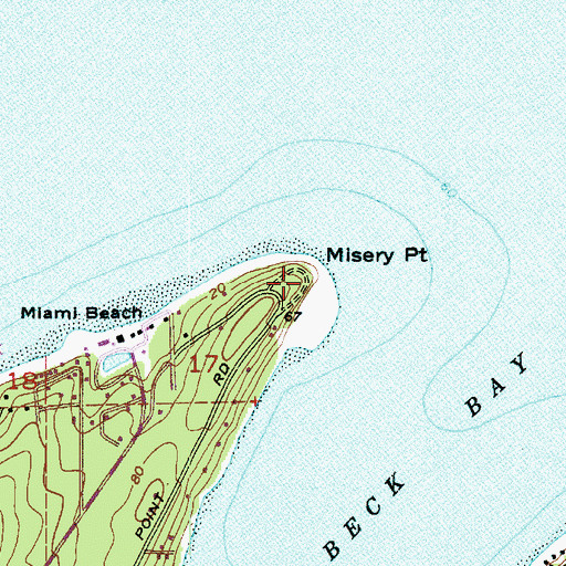 Topographic Map of Misery Point, WA