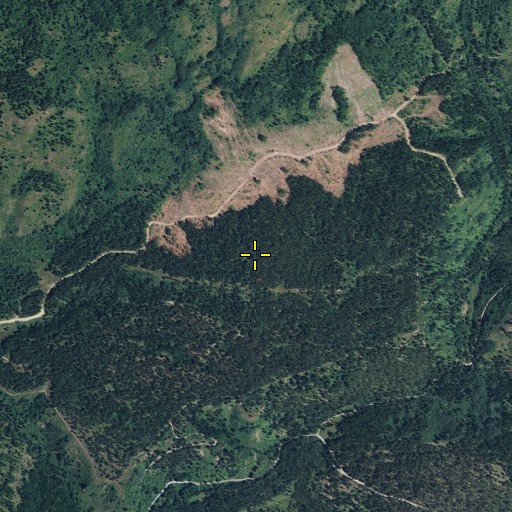 Aerial/Satellite Image of Mitchell Flat, WA