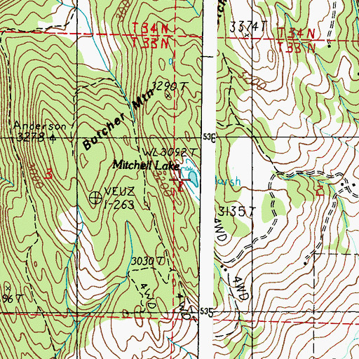 Topographic Map of Mitchell Lake, WA