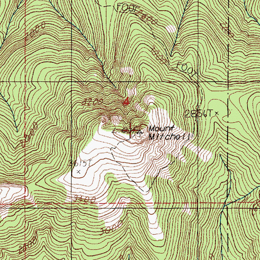 Topographic Map of Mount Mitchell, WA