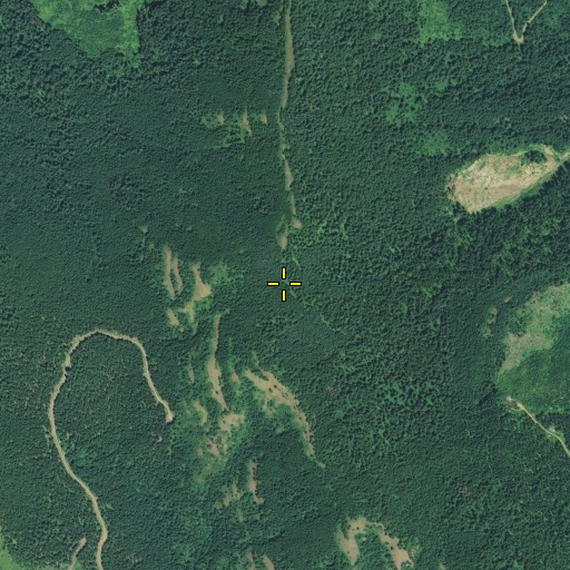 Aerial/Satellite Image of Monte Carlo, WA