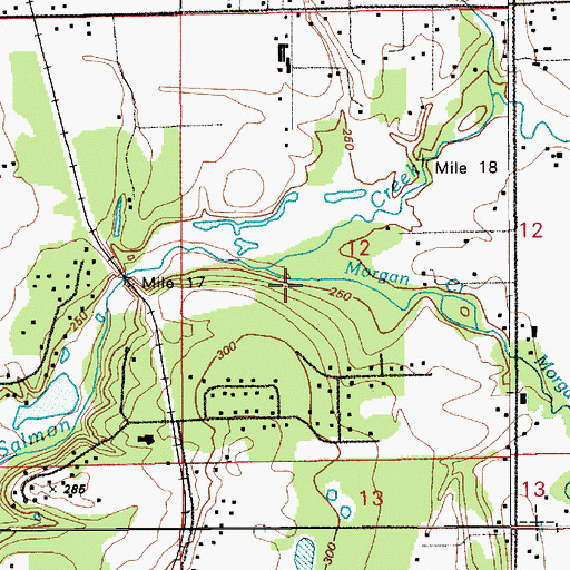Topographic Map of Morgan Creek, WA