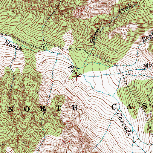Topographic Map of Morning Star Creek, WA