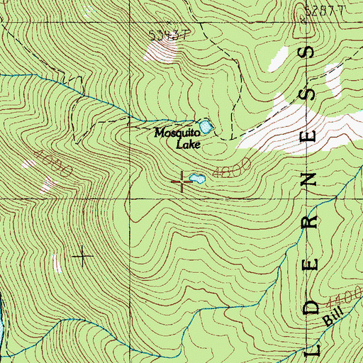 Topographic Map of Mosquito Lake, WA