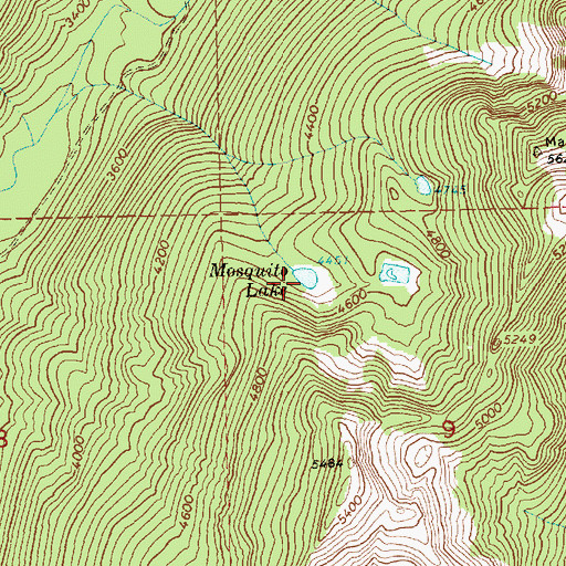 Topographic Map of Mosquito Lake, WA