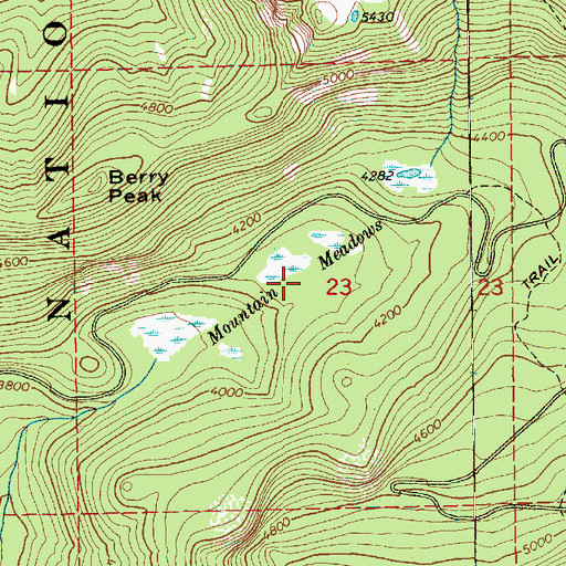 Topographic Map of Mountain Meadows, WA