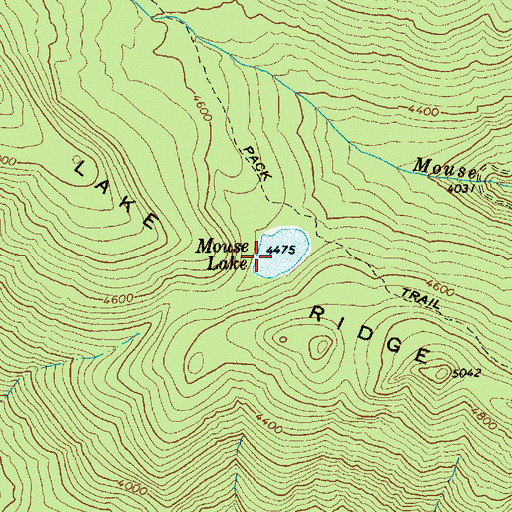 Topographic Map of Mouse Lake, WA