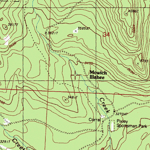 Topographic Map of Mowich Illahee, WA