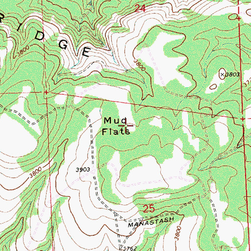 Topographic Map of Mud Flats, WA
