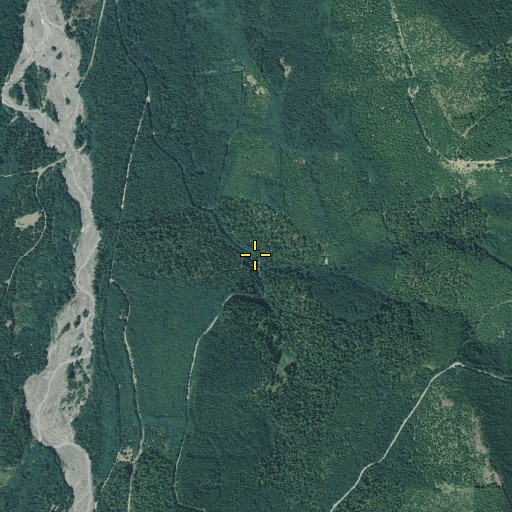 Aerial/Satellite Image of Mule Creek, WA
