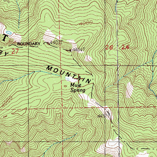 Topographic Map of Mule Spring, WA