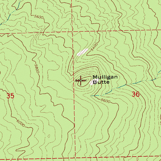 Topographic Map of Mulligan Butte, WA